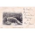 Weeping Rock 1904 Wentworth Australia Old Postcard