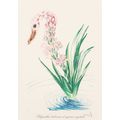 Salvador Dalí Florals Surrealist Flowers 1972 P...