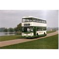 Colour Photograph of Maidstone & District Motor...