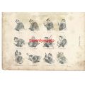 Fishing Expressions, Victorian Humour, Book Ill...