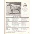 5-u arabians 1972 ferbella ferdine anabella equ...