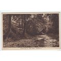 River Sid in the Byes Sidmouth Postcard Devon S...