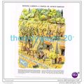 HANGING GARDENS OF BABYLON, IRAQ, Book Illustra...