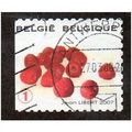 BEL 2007 (52c)(S/A) 'FRUIT- RASPBERRIES' FINE U...