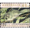 AUSTRALIA, MAMMALS, Little Pygmy-Possum, brown ...