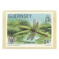 GUERNSEY POST OFFICE STAMP CARD, unused postcar...