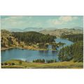 Sanderson & Dixon postcard Tarn Hows, Lake Dist...