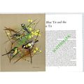 Blue Tit Great Tit Basil Ede - 1970s Bird Print