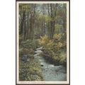 Stream at Castle Horneck, Penzance, Cornwall, c...