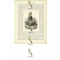 Cazembe In State Dress, Zambia, Book Illustrati...