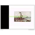 MUSKOKA LAKE, NORTH ONTARIO, Book Illustration,...