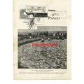 THE RABBIT PLAGUE IN CALIFORNIA, USA, Book Illu...