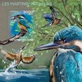 CENTRAL AFRICA 2014 SHEET MNH KINGFISHERS BIRDS...
