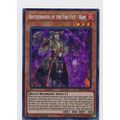 YuGiOh Fists Of The Gadgets FIGA-EN011 Brotherh...