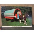 IRISH HORSE-DRAWN CARAVAN, IRELAND. used postca...