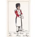 Vistula Legion Infantry Polish Pioneer 1st Regi...