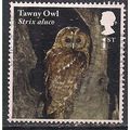 GB 2018 QE2 1st Owls ' Tawny Owl ' used SG 4084...