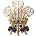 Prince of Wales Feathers Welsh Heraldic Plume 2...