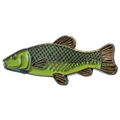 Tench Freshwater Game Fish Angling Fisherman Pi...