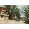 Penshurst, Kent, Rare Photochrom Celesque Postc...