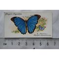 1932 John Player & Sons Butterflies No. 40 Sout...