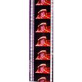 Pk DAU - J - MIX - a 001A. 1 STRIP OF 5 - 35MM ...
