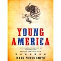 A Nation Divided Young America