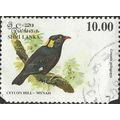 SRI LANKA, BIRD, Sri Lankan Grackle, grey 1993,...