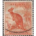 AUSTRALIA, MAMMALS, Kangaroo, Macropus rufus, o...