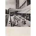 Rijksmuseum Vincent Van Gogh Dutch Real Photo P...