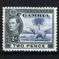 Gambia Stamp SG 153 MM Mounted Mint