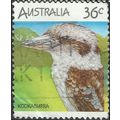 AUSTRALIA, BIRDS, Kookaburra, Dacelo novaeguine...