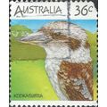 AUSTRALIA, BIRDS, Kookaburra, Dacelo novaeguine...