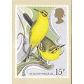Colour Postcard Yellow Wagtail by Michael Warre...