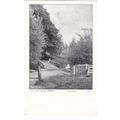 The White Bridge, Twyford Hampshire Postcard (H...