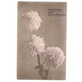 early 20th c greetings card..unused postcard by...