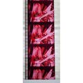 ALICE COOPER. Pk MTP - a017Q . 1 STRIP OF 5 - 3...