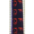 Dracula . Pk AA - b032C. 1 STRIP OF 10 - 35MM F...
