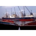 SQ0953 - Bank Line Cargo Ship - Roybank , built...
