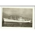 Swedish East Asia Co. MV JAPAN Company Postcard