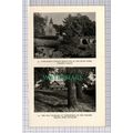 C5379) Vowchurch Church Golden Valley Vicarage ...