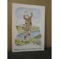 MIDGES, FLING SCOTLAND humour. .unused postcard...