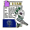 Utah The Beehive State Montage Fridge Magnet