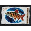 Rwanda Six-banded Distichodus Fish 1973 MNH SG#...