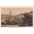 83 - HYERES LES PALMIERS - LA VILLE HAUTE