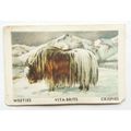 Australian Vitabrits Weeties Animals of World 8...