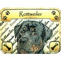 Rottweiler Photo Fridge Magnet