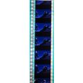 S.W. Clone Wars. Pk HCH - A017q . - 1 STRIP OF ...