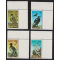 SWA Falcon Eagle Vulture Protected Birds of Pre...