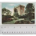 vintage postcard Blarney Castle, Co. Cork